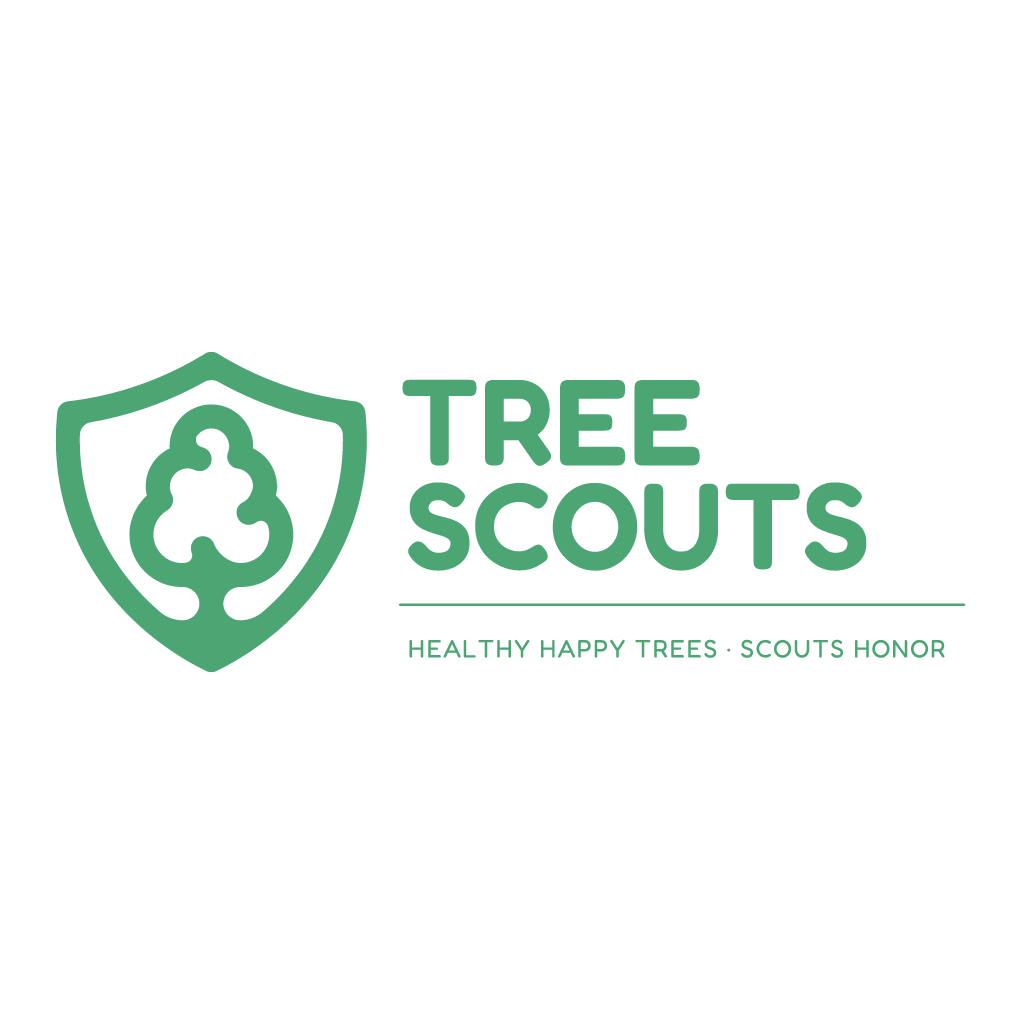 Tree Scouts