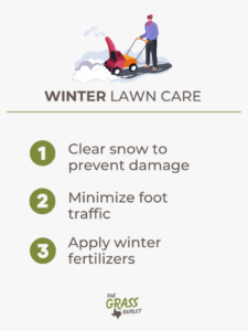 Visual showing lawn care tips for winter season